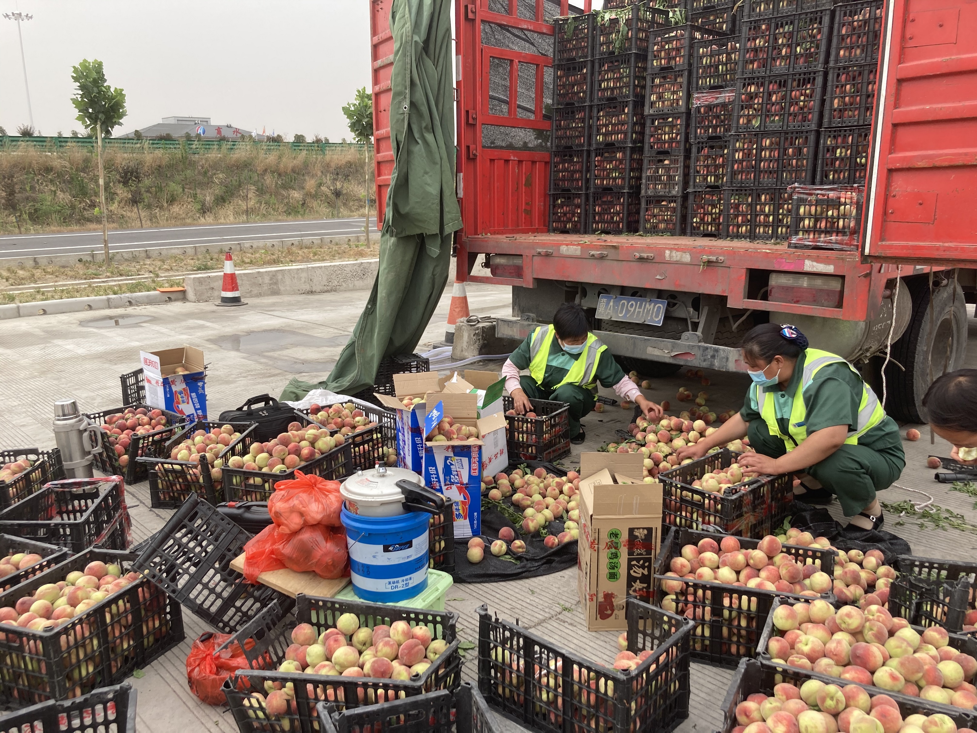 圖說:6月4日,一輛運輸水果的貨車在行駛到商水服務(wù)區(qū)下道口時,由于速度過快,車輛發(fā)生側(cè)翻事故,車上滿載的水果隨車輛拋灑一地。服務(wù)區(qū)及時救援,并組織員工不畏炎熱幫助車主撿拾水果。.jpg 圖說:6月4日,一輛運輸水果的貨車在行駛到商水服務(wù)區(qū)下道口時,由于速度過快,車輛發(fā)生側(cè)翻事故,車上滿載的水果隨車輛拋灑一地。服務(wù)區(qū)及時救援,并組織員工不畏炎熱幫助車主撿拾水果。.jpg